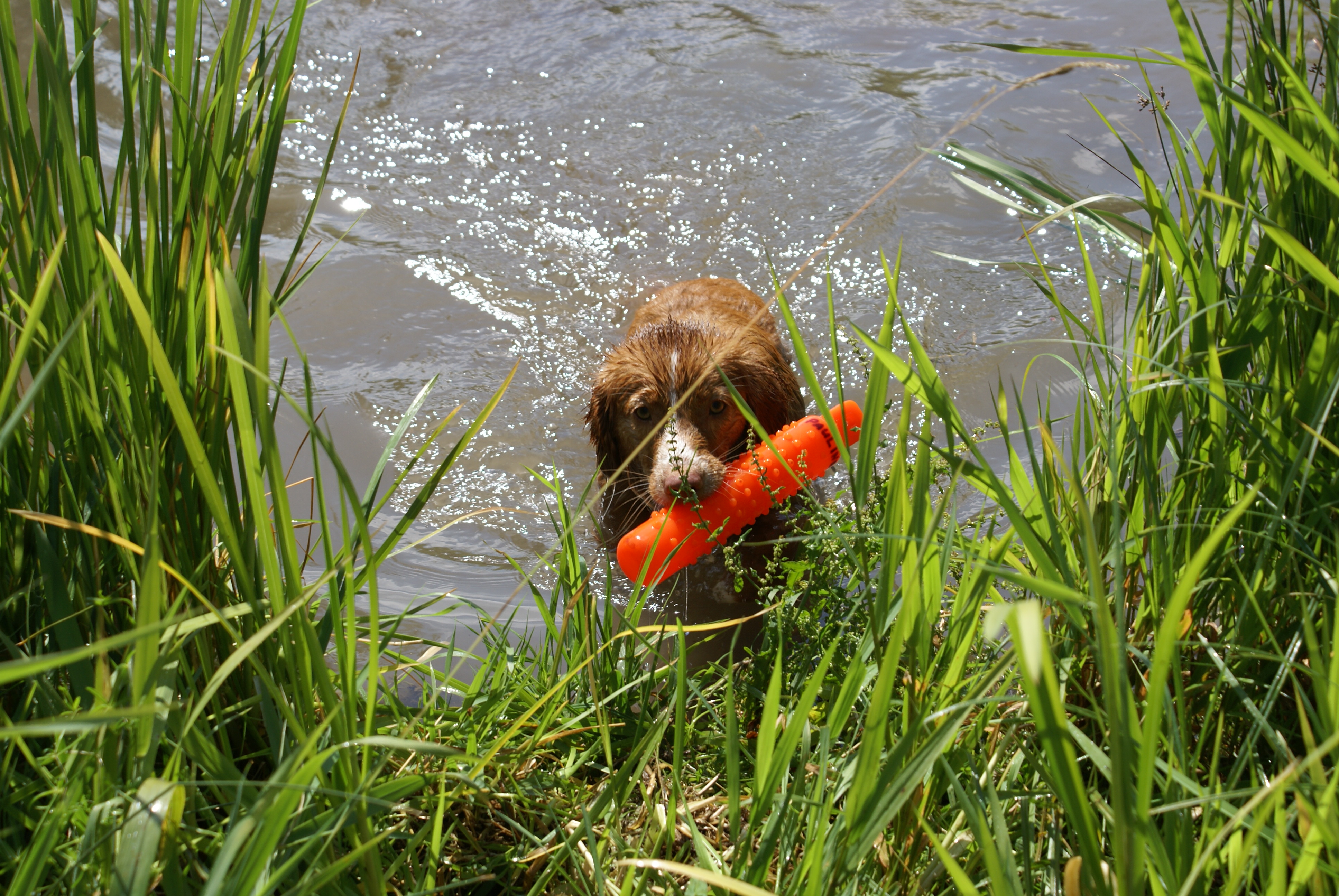 First water retrieve 